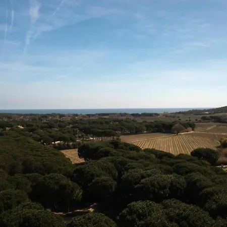 In Gassin Near Tropez Beaches