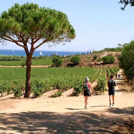 Villa In Gassin Near Tropez Beaches *
